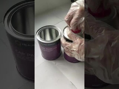Sấy sơn ô tô cứng OEM dịch vụ phun nhựa Acrylic Auto Paint